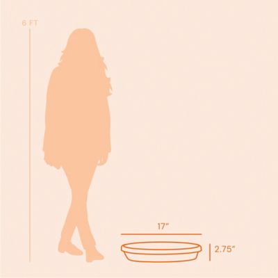 Image showing 6 th Bloem Terra Pot Durable Resin Round Drain Saucer, 20 in., Matte Finish, Chocolate