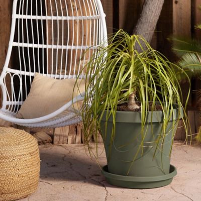 Image showing  Terra Pot Durable Resin Round Drain Saucer, 20 in., Matte Finish, Living Green