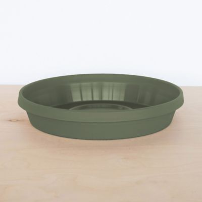 Image showing 5 th Bloem Terra Pot Durable Resin Round Drain Saucer, 20 in., Matte Finish, Living Green
