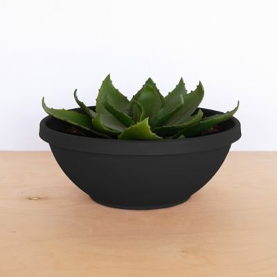 Image showing  Terra Bowl Planter, 14 in., Classic Design