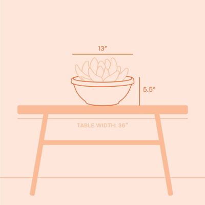 Image showing  Terra Bowl Planter, 14 in., Classic Design