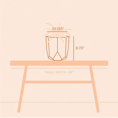 Image showing  2.7 gal. Plastic Tuxton Modern Hexagonal Small Planter, 10 in.