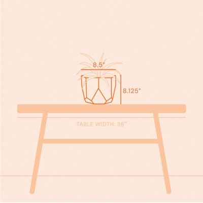 Image showing  1.7 gal. Plastic Tuxton Modern Hexagonal Planter, 8 in.