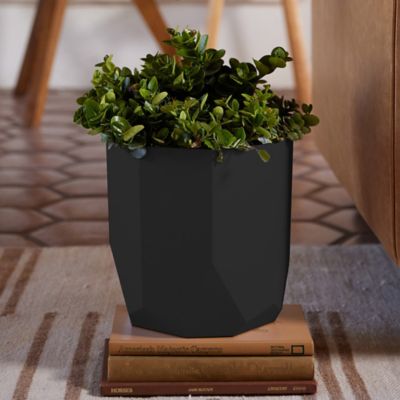 Image showing  1.7 gal. Plastic Tuxton Modern Hexagonal Planter, 8 in.