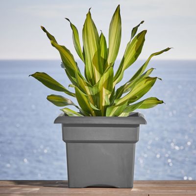 Image showing  9 gal. Plastic Veranda Square Deck Box Planter, 18 in., Matte Finish