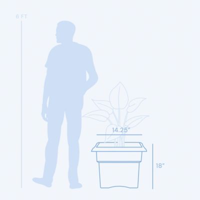 Image showing  9 gal. Plastic Veranda Square Deck Box Planter, 18 in., Matte Finish