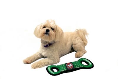 Image showing  NFL San Francisco 49ers Field Dog Toy