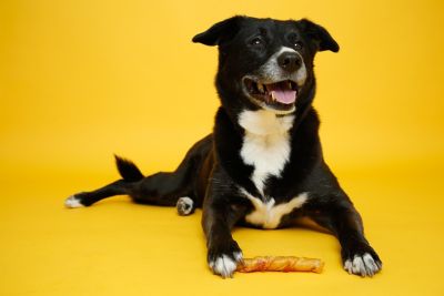 Image showing  Hartz Pig Skin Twists with Chicken Dog Chew Treats, 16 ct.