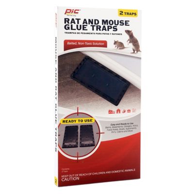 PIC Glue Rat & Mouse Trays, 2-Pack