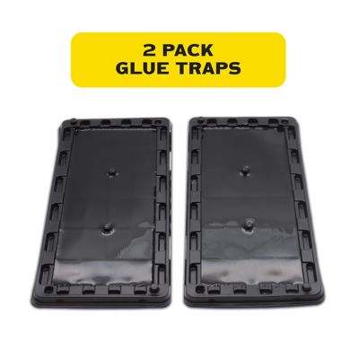 Image showing  Glue Rat & Mouse Trays, 2-Pack