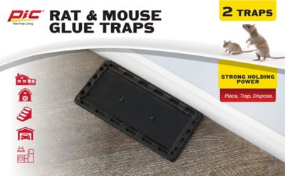 Image showing  Glue Rat & Mouse Trays, 2-Pack
