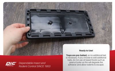 Image showing 7 th PIC Glue Rat & Mouse Trays, 2-Pack