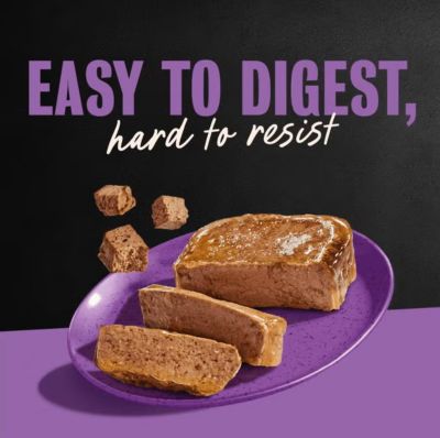 Image showing  Adult Filet Mignon Soft Classic Loaf in Sauce Wet Dog Food, 3.5 oz., 24 pk.
