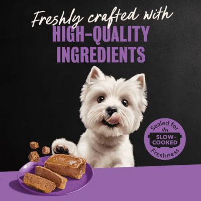 Image showing  Adult Filet Mignon Soft Classic Loaf in Sauce Wet Dog Food, 3.5 oz., 24 pk.