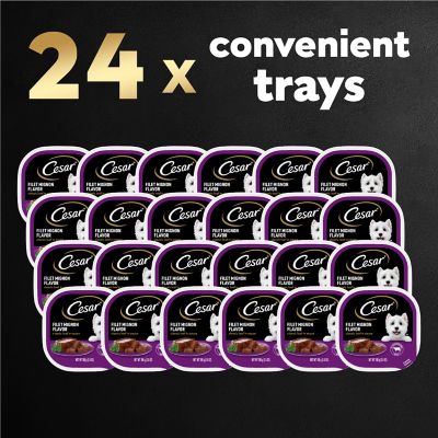 Image showing 7 th Cesar Soft Classic Loaf Adult Filet Mignon Recipe Wet Dog Food in Sauce, 3.5 oz., Easy-Peel Trays, 24 pk.