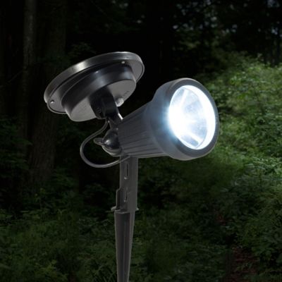 Image showing  30-Lumen High Performance Solar Spotlight