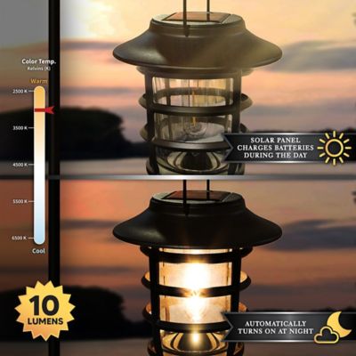 Image showing  10-Lumen Nottingham Solar Hanging Coach Light