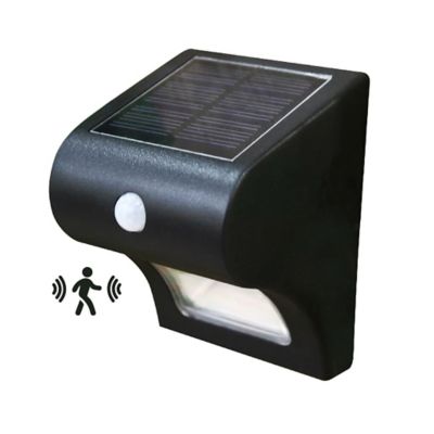 Classy Caps 40-Lumen Solar Motion Sensor Deck and Wall Light