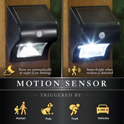 Image showing  40-Lumen Solar Motion Sensor Deck and Wall Light