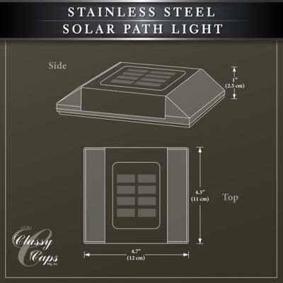 Image showing 6 th Classy Caps Stainless Steel Solar Path Light SL499