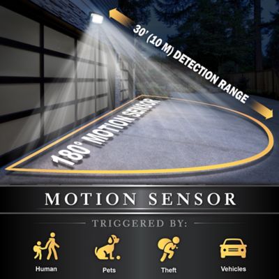 Image showing  800-Lumen Solar Motion Sensor Security Light