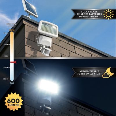 Image showing  800-Lumen Solar Motion Sensor Security Light