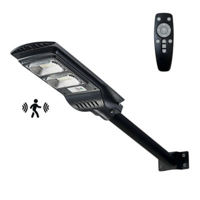 Classy Caps Solar Security Street Light, SSL810