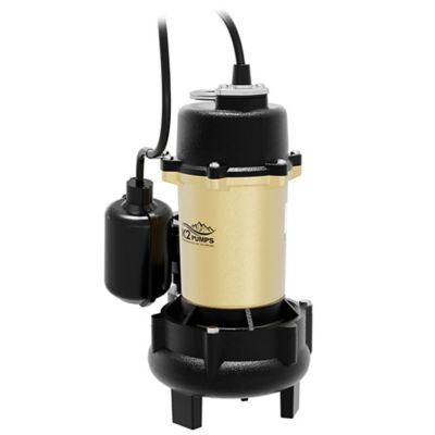 Image showing  1/2 HP 115V Electric Cast Iron Effluent Pump with Piggyback Tethered Float Switch, 70 GPM