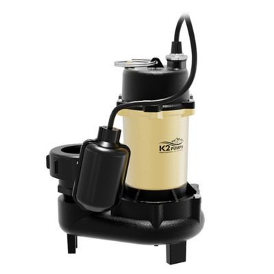 Image showing  1/2 HP 115V Electric Cast Iron Effluent Pump with Piggyback Tethered Float Switch, 70 GPM