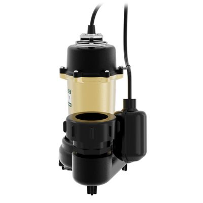 Image showing  3/4 HP Cast Iron Effluent Pump with Piggyback Tethered Float Switch, SWF07501TPK