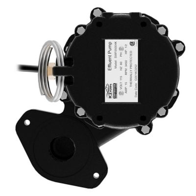 Image showing 5 th K2 Pumps 1 HP Contractor Series Cast Iron Effluent Pump, 230 Volt, SWF10004K