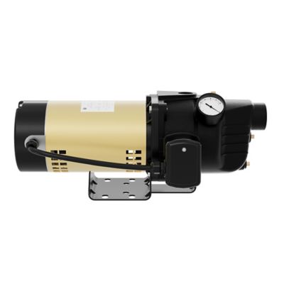 Image showing  1/2 HP 115/230V Electric Cast Iron Shallow Well Jet Pump, 8.1 GPM, Lead-Free