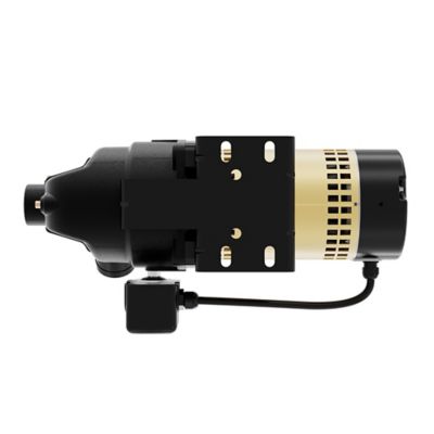 Image showing  1/2 HP 115/230V Electric Cast Iron Shallow Well Jet Pump, 8.1 GPM, Lead-Free