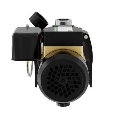 Image showing 7 th K2 Pumps 3/4 HP 115/230V Electric Thermoplastic Shallow Well Jet Pump, 9.2 GPM, Lead-Free