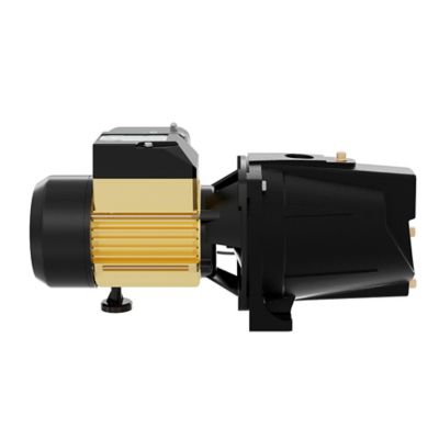 Image showing  3/4 HP 115/230V Electric Cast Iron Shallow Well Jet Pump, 9.2 GPM, Lead-Free