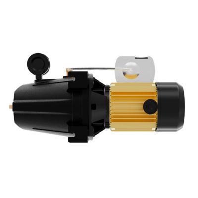 Image showing  3/4 HP 115/230V Electric Cast Iron Shallow Well Jet Pump, 9.2 GPM, Lead-Free