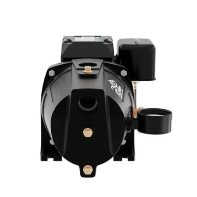 Image showing 6 th K2 Pumps 3/4 HP 115/230V Electric Cast Iron Shallow Well Jet Pump, 9.2 GPM, Lead-Free