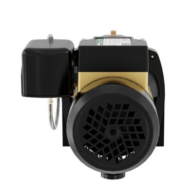 Image showing 7 th K2 Pumps 3/4 HP 115/230V Electric Cast Iron Shallow Well Jet Pump, 9.2 GPM, Lead-Free