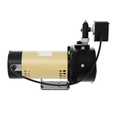 Image showing 5 th K2 Pumps 3/4 HP 115/230V Electric Cast Iron Convertible Jet Pump, 20 GPM, Lead-Free