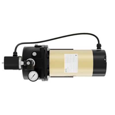 Image showing 7 th K2 Pumps 1 HP 115/230V Electric Cast Iron Convertible Jet Pump, 24 GPM, Lead-Free