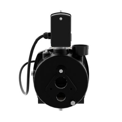 Image showing 8 th K2 Pumps 1 HP 115/230V Electric Cast Iron Convertible Jet Pump, 24 GPM, Lead-Free