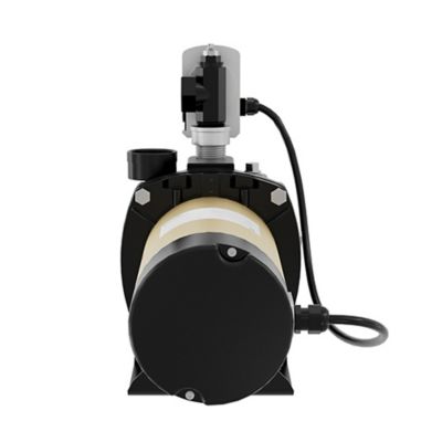 Image showing 9 th K2 Pumps 1 HP 115/230V Electric Cast Iron Convertible Jet Pump, 24 GPM, Lead-Free