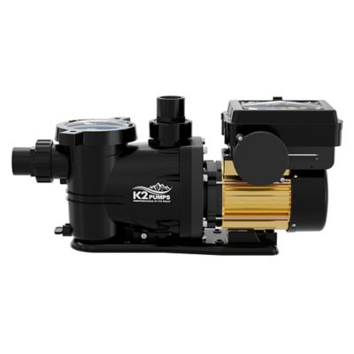 Image showing  1-1/2 HP 230V Thermoplastic Variable Speed Pool Pump