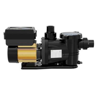 Image showing  1-1/2 HP 230V Thermoplastic Variable Speed Pool Pump