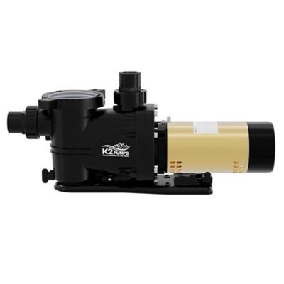 Image showing  1 HP 230V Electric Thermoplastic 2 Speed Pool Pump, 75 GPM