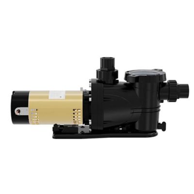 Image showing  1 HP 230V Electric Thermoplastic 2 Speed Pool Pump, 75 GPM