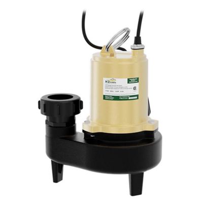 Image showing  3/4 HP 115V Electric Cast Iron Sewage Pump with Piggyback Tethered Switch, 233 GPM