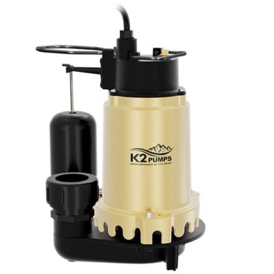 Image showing  1/3 HP Cast Iron Sump Pump with Snap Action Switch, SPI03302K