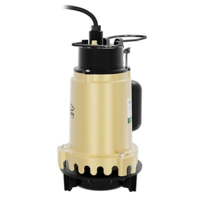 Image showing 7 th K2 Pumps 3/4 HP 115V Electric Cast Iron Sump Pump with Snap Action Switch, 87 GPM