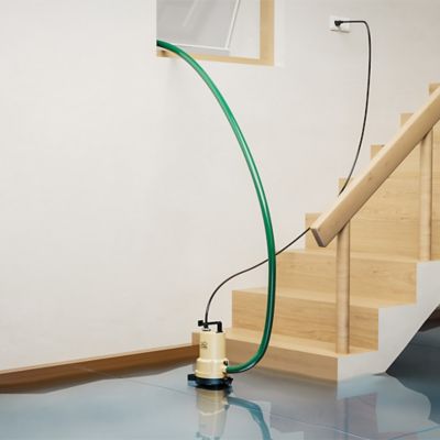 Image showing  1/4 HP 115V Thermoplastic Duo 2-in-1 Utility Pump